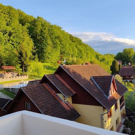 Apartament Vass Sovata Zewnętrze zdjęcie